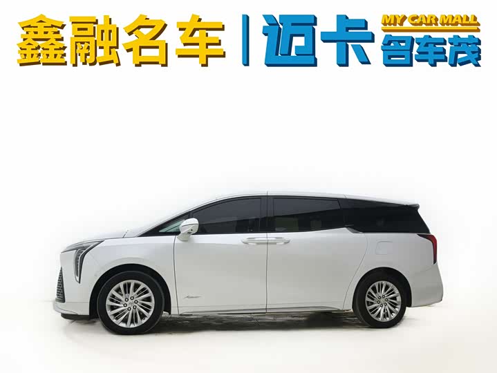 Фото 3 - Buick GL8 Century