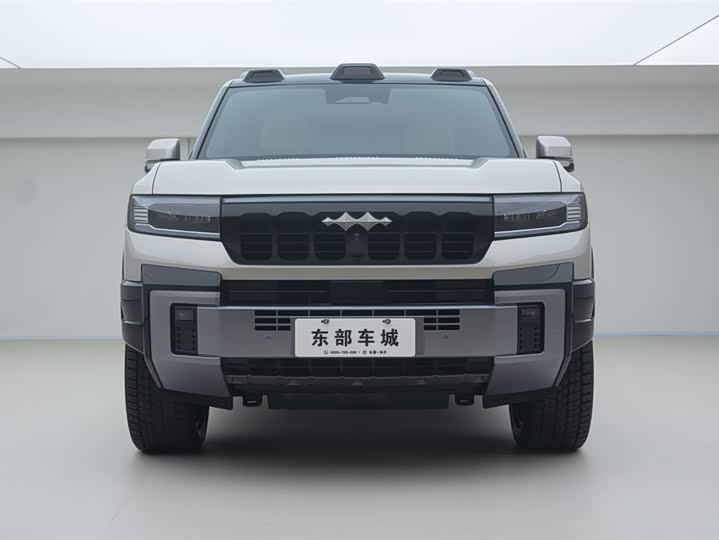 Фото 2 - BYD FangChengBao Leopard 8