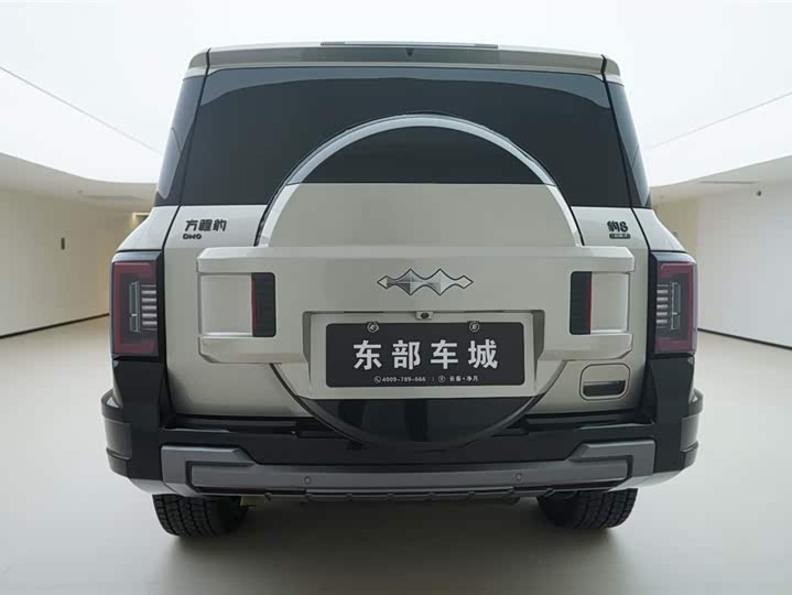 Фото 4 - BYD FangChengBao Leopard 8