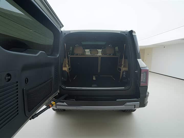 Фото 6 - BYD FangChengBao Leopard 8