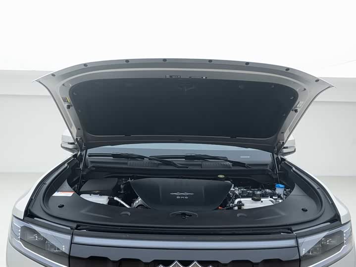 Фото 7 - BYD FangChengBao Leopard 8