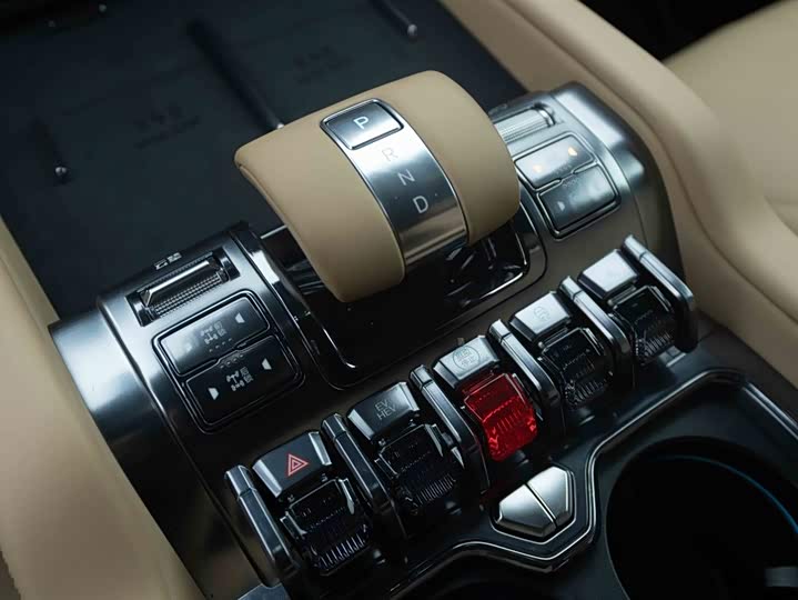 Фото 9 - BYD FangChengBao Leopard 8