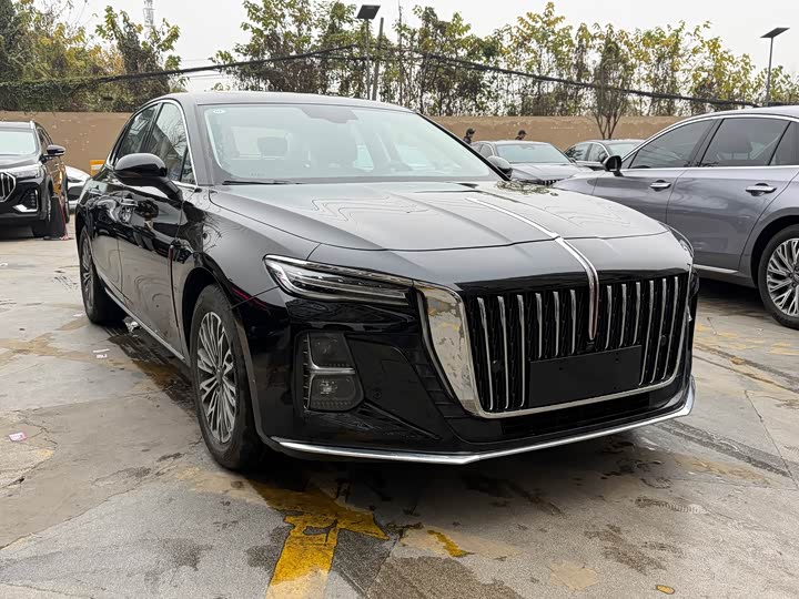 Фото 3 - Hongqi H5