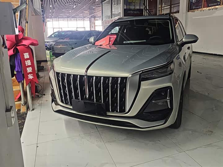 Фото 2 - Hongqi HS5