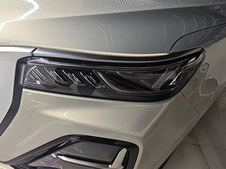 Фото 5 - Hongqi HS5