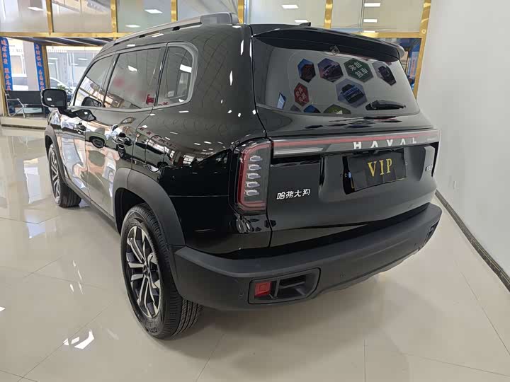 Фото 4 - Haval Dargo