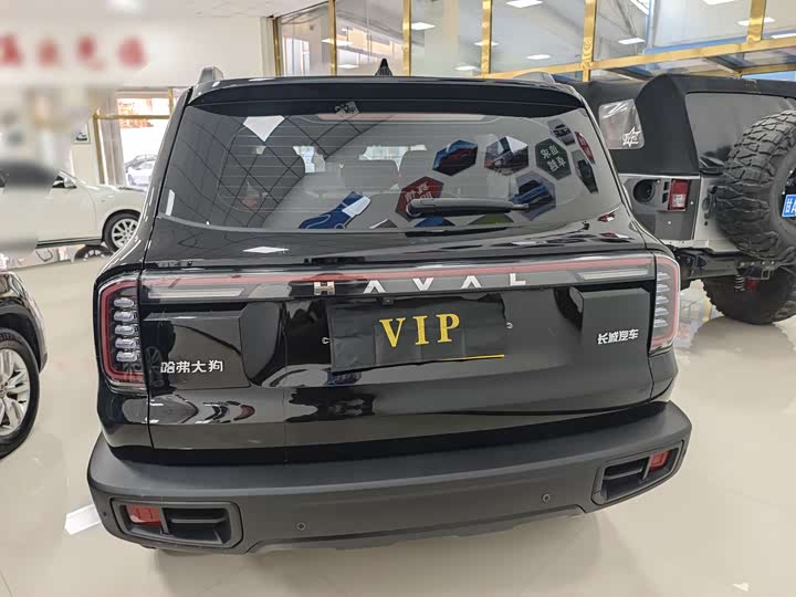 Фото 5 - Haval Dargo