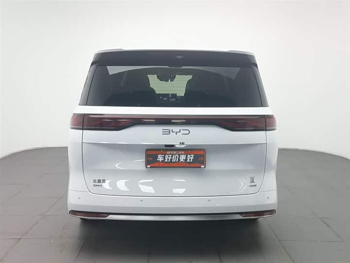 Фото 4 - BYD Xia