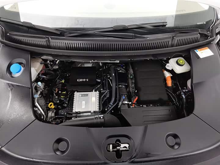 Фото 6 - BYD Xia