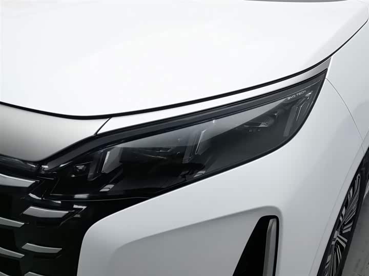 Фото 7 - BYD Xia