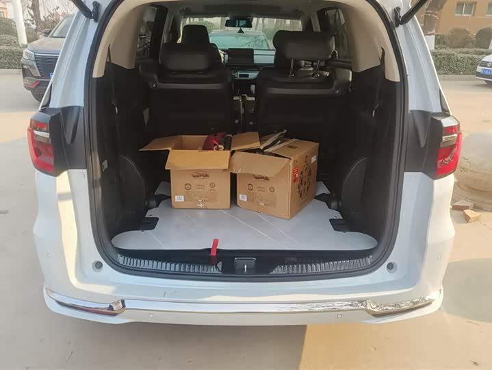 Фото 4 - Honda Elysion