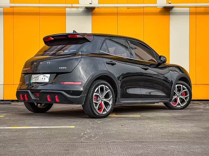 Фото 3 - Ora Good Cat GT (03 GT)