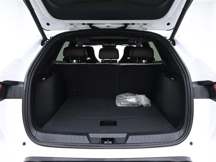 Фото 8 - BYD Song Plus Hybrid/EV