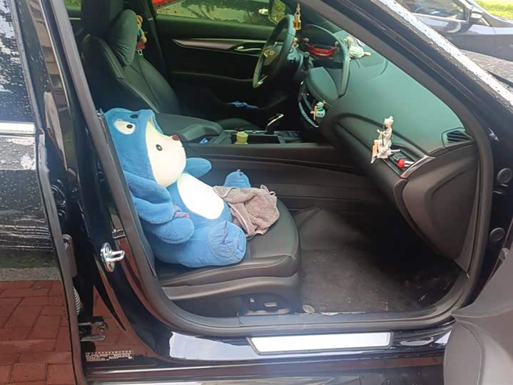 Фото 8 - Cadillac CT5