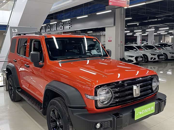 Фото 1 - Tank 300