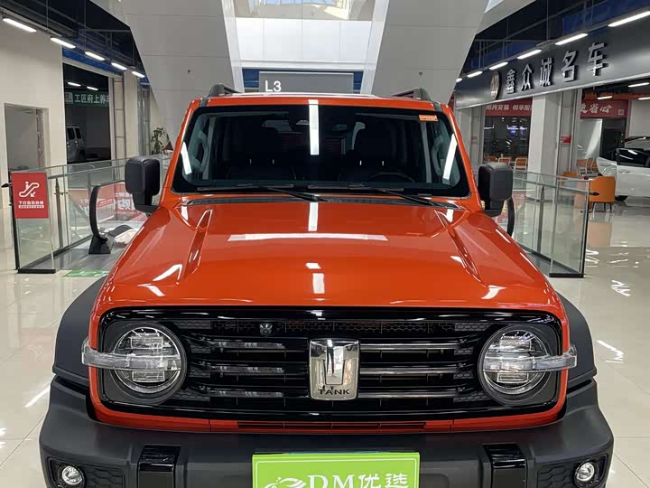 Фото 2 - Tank 300