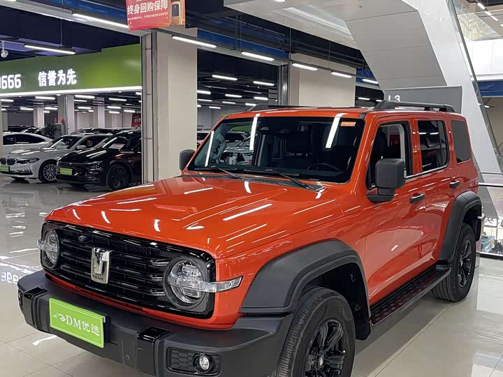 Фото 3 - Tank 300