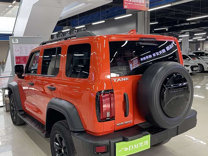 Фото 7 - Tank 300