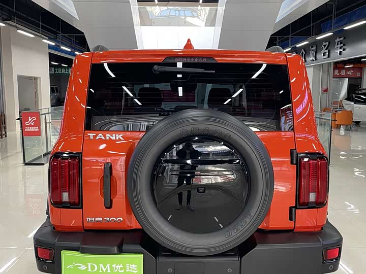 Фото 8 - Tank 300