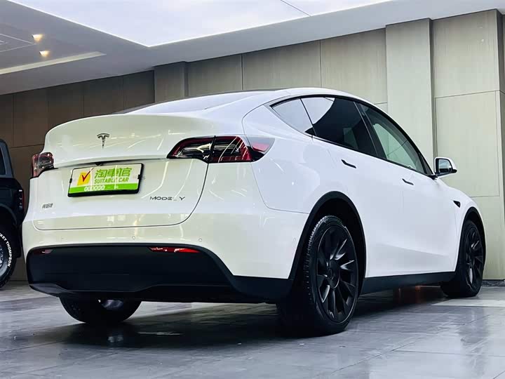 Фото 4 - Tesla Model Y