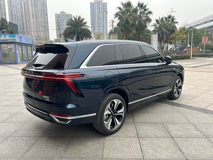 Фото 5 - Wey Lanshan