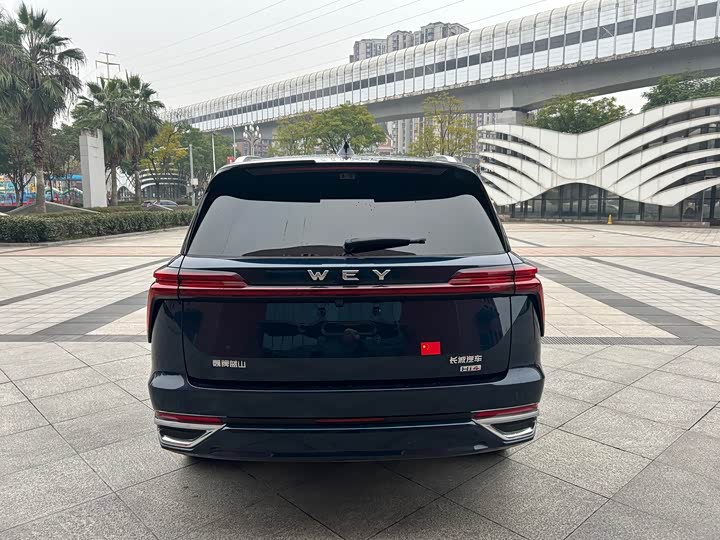 Фото 6 - Wey Lanshan