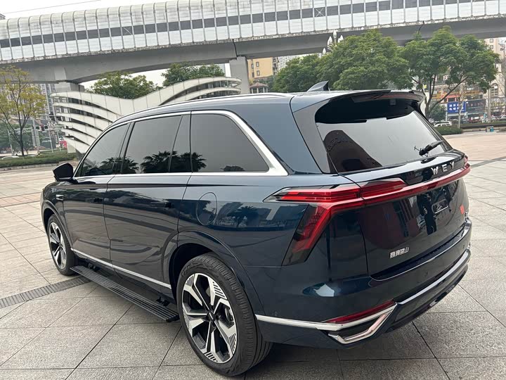 Фото 7 - Wey Lanshan