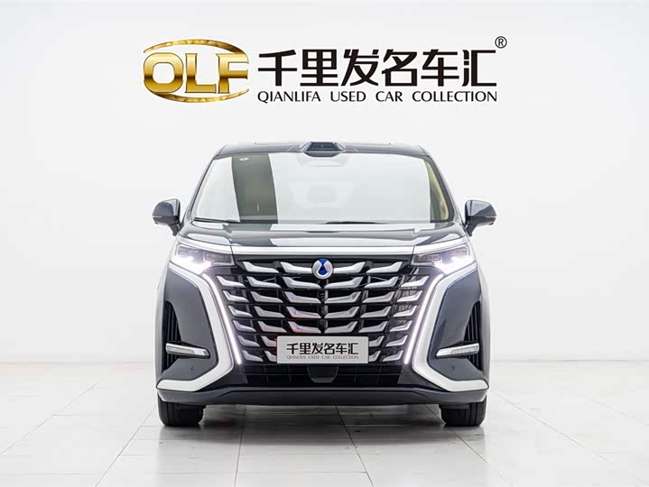 Фото 2 - Denza D9