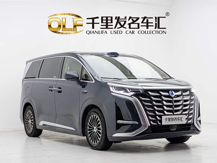 Фото 3 - Denza D9