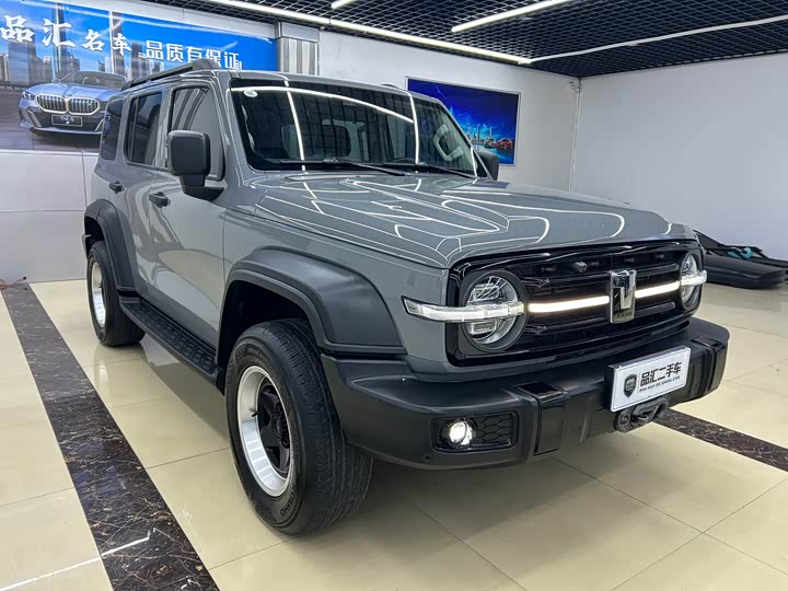 Фото 3 - Tank 300