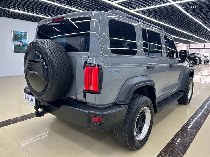 Фото 5 - Tank 300