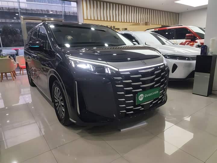 Фото 4 - BYD Xia