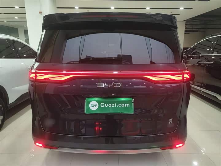 Фото 6 - BYD Xia