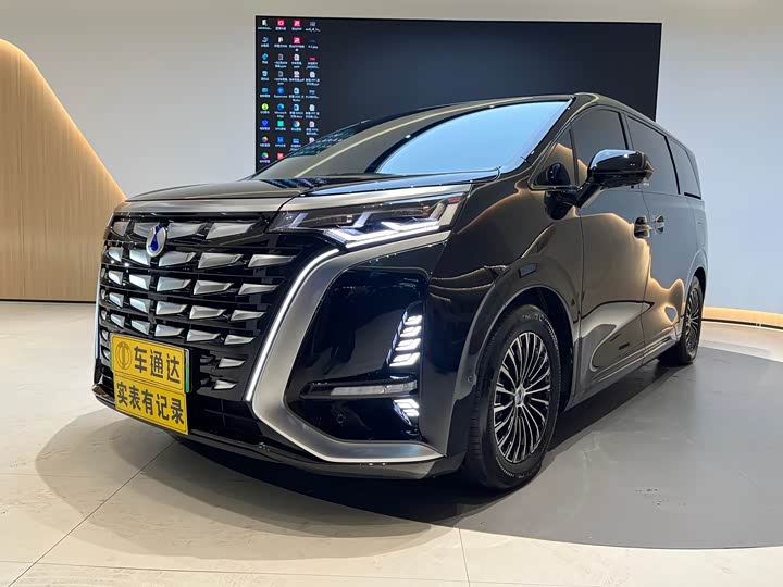 Фото 2 - Denza D9