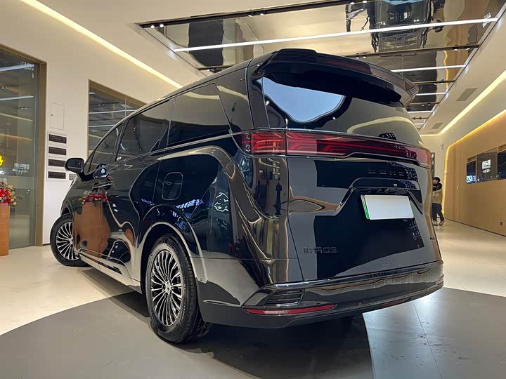 Фото 4 - Denza D9