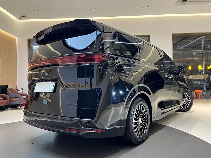 Фото 6 - Denza D9