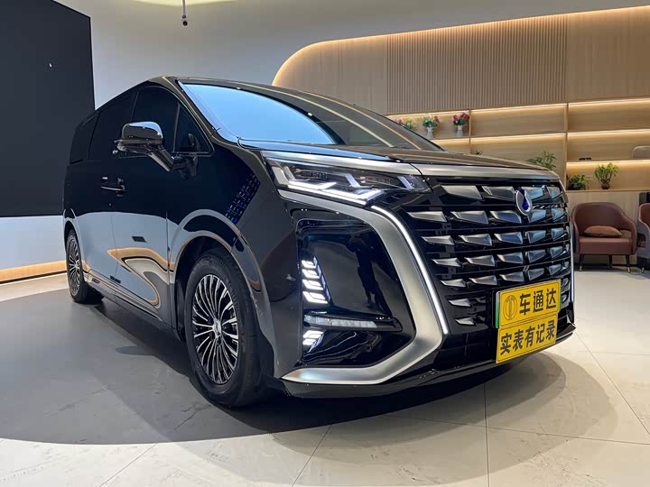 Фото 7 - Denza D9