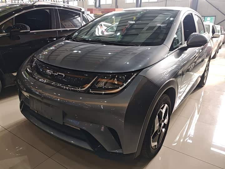 Фото 2 - BYD Dolphin