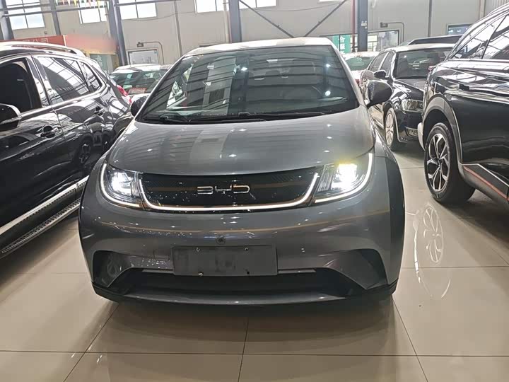 Фото 3 - BYD Dolphin