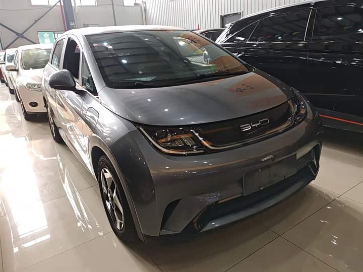 Фото 4 - BYD Dolphin