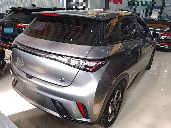 Фото 7 - BYD Dolphin