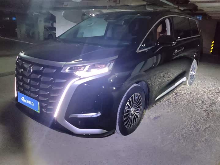 Фото 1 - Denza D9