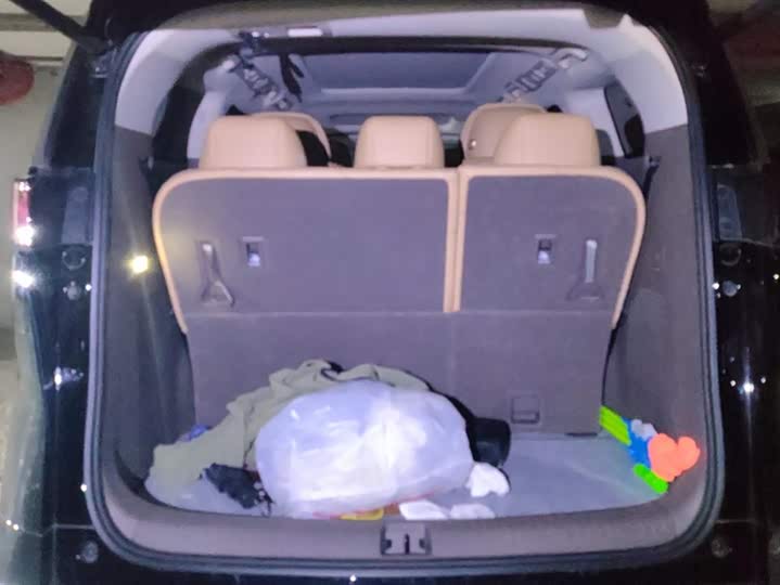 Фото 4 - Denza D9