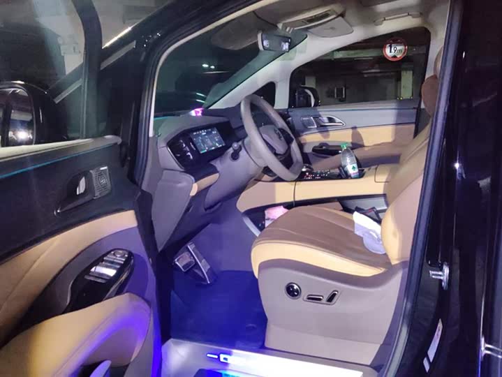 Фото 9 - Denza D9