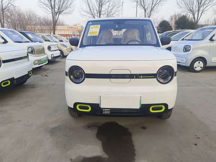 Фото 2 - Geely Galaxy Panda Mini