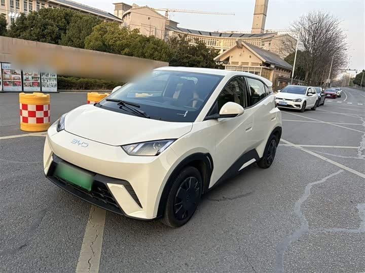 Фото 1 - BYD Seagull