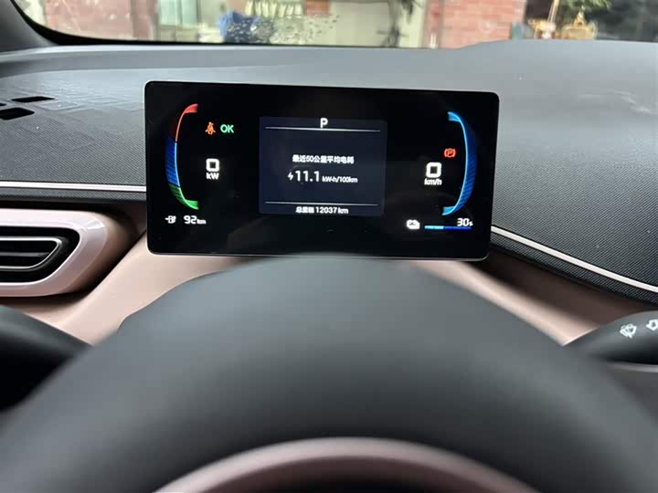 Фото 3 - BYD Seagull