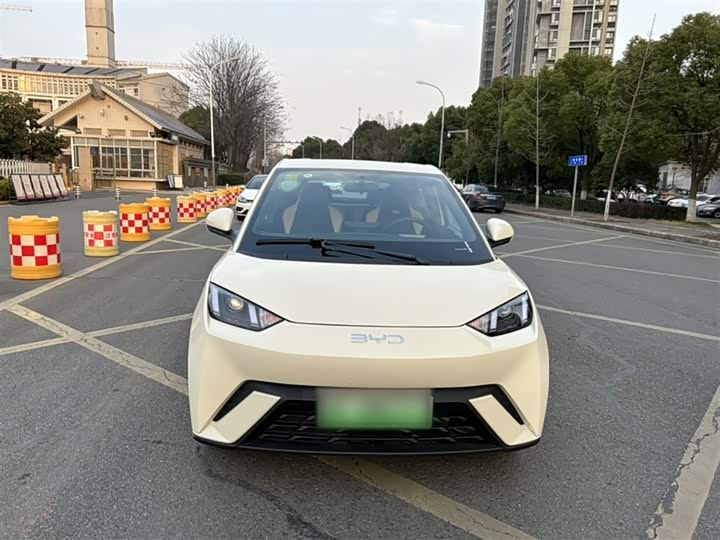 Фото 4 - BYD Seagull