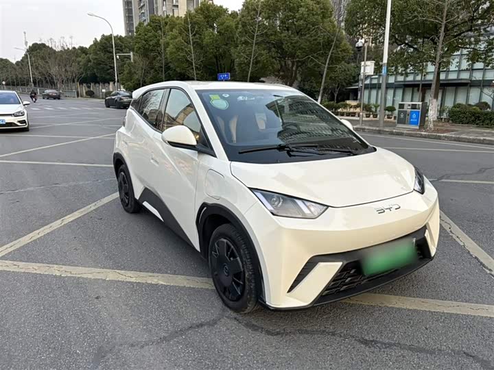 Фото 5 - BYD Seagull