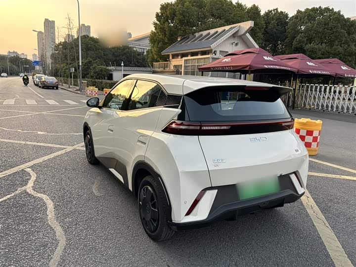 Фото 6 - BYD Seagull